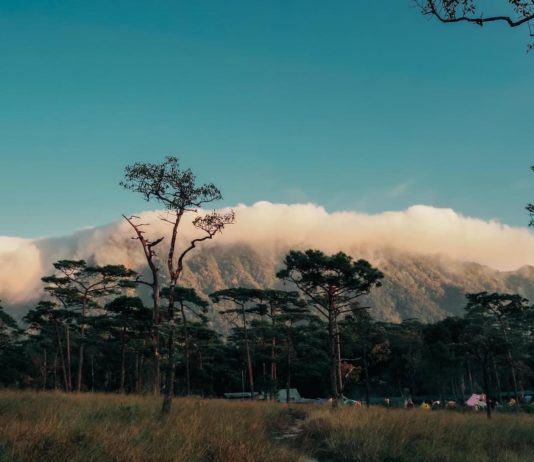 THAÏLANDE – TOURISME : Quels parcs nationaux choisir pendant la saison des pluies ? Phu soi dao parc National