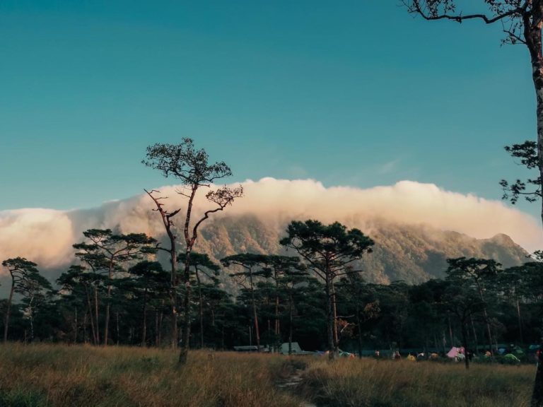 THAÏLANDE – TOURISME :  Quels parcs nationaux choisir pendant la saison des pluies ?