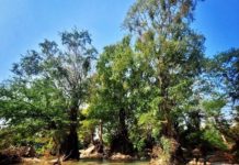 CAMBODGE – TOURISME : Un plan directeur pour stimuler le tourisme dans l’archipel de Kratie Mekong kratie