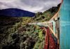vietnam Reunification Express