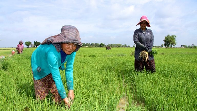 CAMBODGE – SOCIÉTÉ : Le taux de pauvreté au Cambodge tombe à 17,8 % en 2020