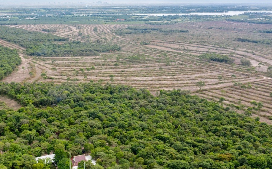 fôret Phnom Tamao