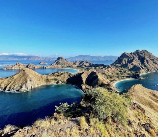 INDONÉSIE – TOURISME : Faudra-t-il payer plus pour voir les varans de Komodo ? parc national de Komodo