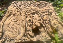 CAMBODGE – TOURISME : Exclusif, retrouvez les anciennes ruines du temple de Ta Lei, filmées seulement pour vous ! Ta Lei temple cambodge