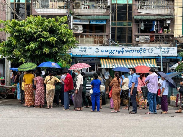 birmans queue médicaments