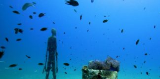 ocean utopia Thaïlande