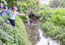 pollution des canaux Bangkok