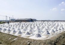 CAMBODGE – ÉCONOMIE : Le sel de Kep menacé de disparition production de sel