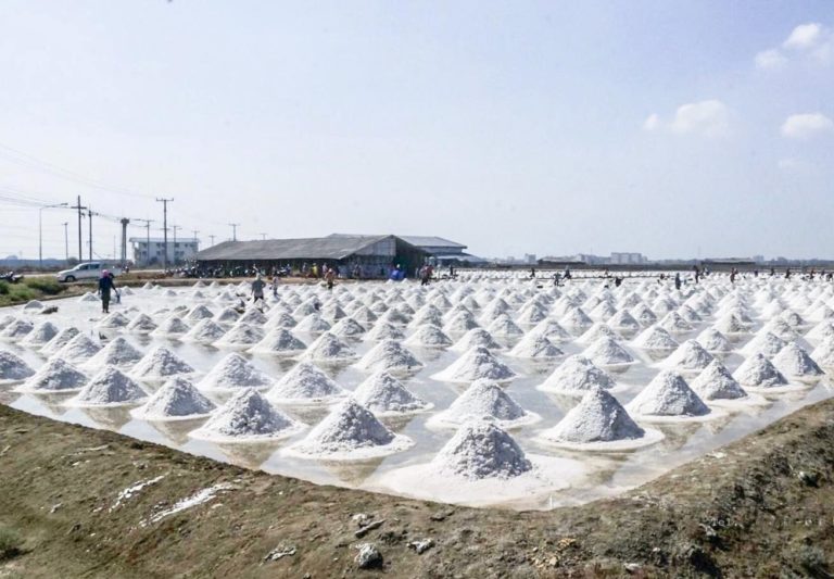 CAMBODGE – ÉCONOMIE : Le sel de Kep menacé de disparition