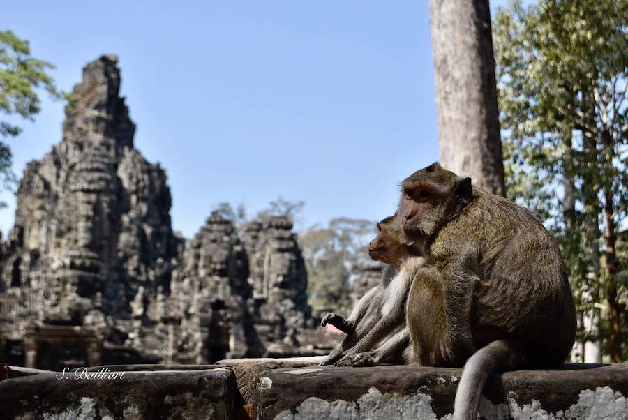 Cambodge temple Bayon