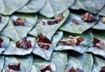 THAÏLANDE – SOCIÉTÉ : Les marchands de noix de bétel séchées face à de nouveaux obstacles Betel Birmanie