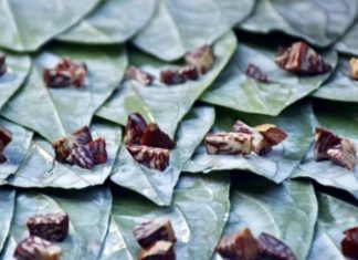 Betel Birmanie