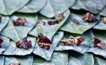 Betel Birmanie