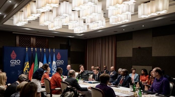Emmanuel Macron Bali G20