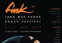 Festival danse Laos 13