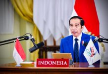 Jokowi-G20