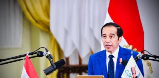Jokowi-G20