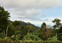 terrain Phuket Thailande