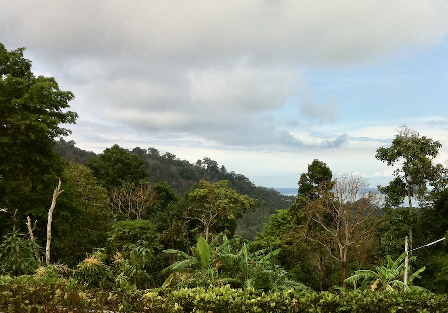 terrain Phuket Thailande