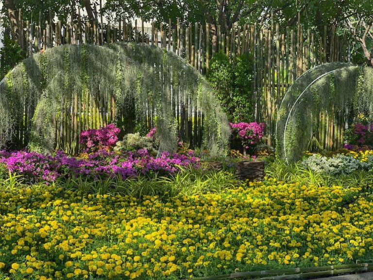 THAÏLANDE – TOURISME : La plus grande foire florale de Bangkok au parc Rama IX