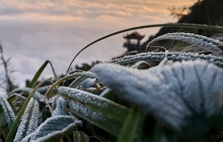 VIETNAM – MÉTÉO : Les températures chutent, du givre apparaît au mont Fansipan