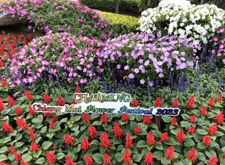 THAÏLANDE – FESTIVAL : Jusqu’au 2 janvier, découvrez le festival des fleurs de Chiang Mai