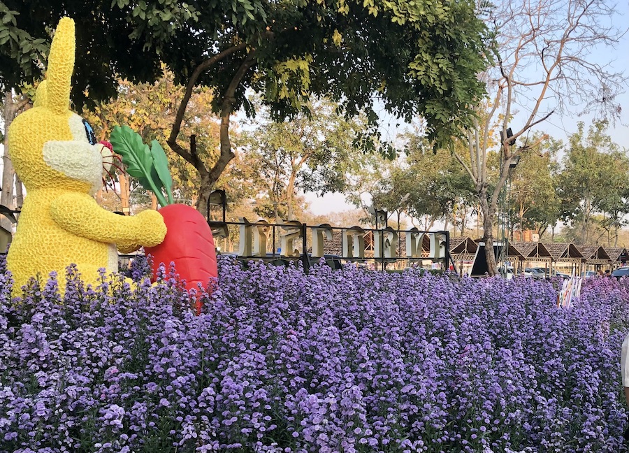 festival des fleurs de Chiang Mai