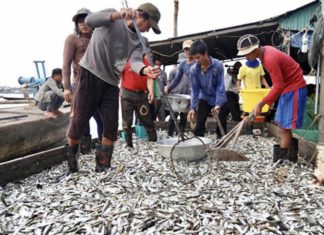 pêche Cambodge