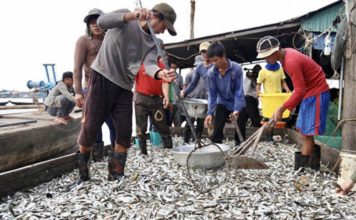 CAMBODGE EXPRESS – ACTUALITÉS : Que retenir de l’actualité cambodgienne du 18 au 24 mars ? pêche Cambodge