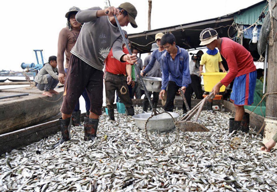 pêche Cambodge