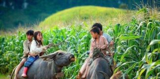 Enfants Thaïlandais