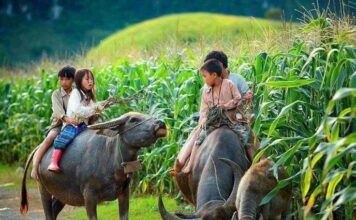 Enfants Thaïlandais