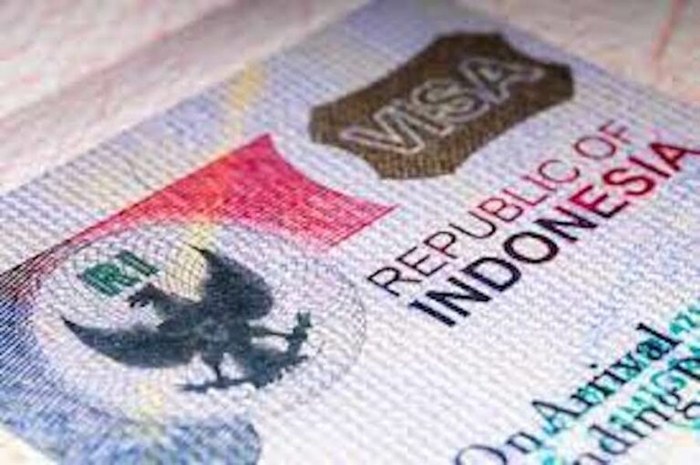INDONÉSIE – TOURISME : Les visas indonésiens en ligne désormais disponibles