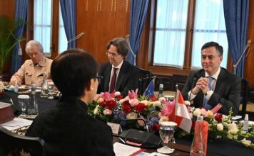 ASIE – EUROPE : Parlementaires européens en Indonésie et au Vietnam EU - ASEAN indonésie