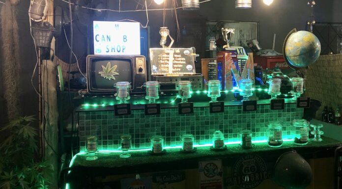 THAÏLANDE – POLITIQUE : Cannabis médical ou récréatif : la lutte continue Koh-Pha-Ngan-cannabis