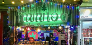 Koh-Pha-Ngan-cannabis