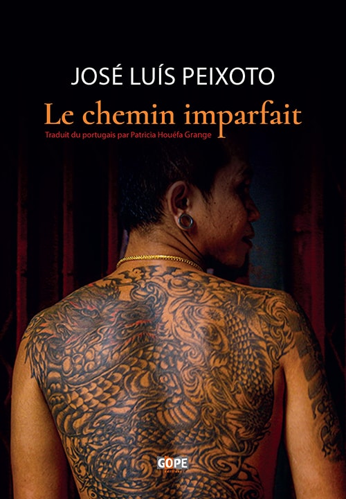 Le-chemin-imparfait-Livre