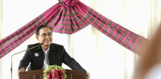 Prayut portrait