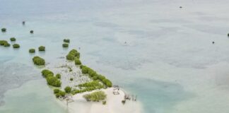 Pulau Pari
