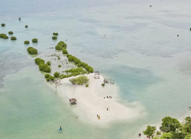 INDONÉSIE – SUISSE : La justice climatique bouscule le cimentier Holcim