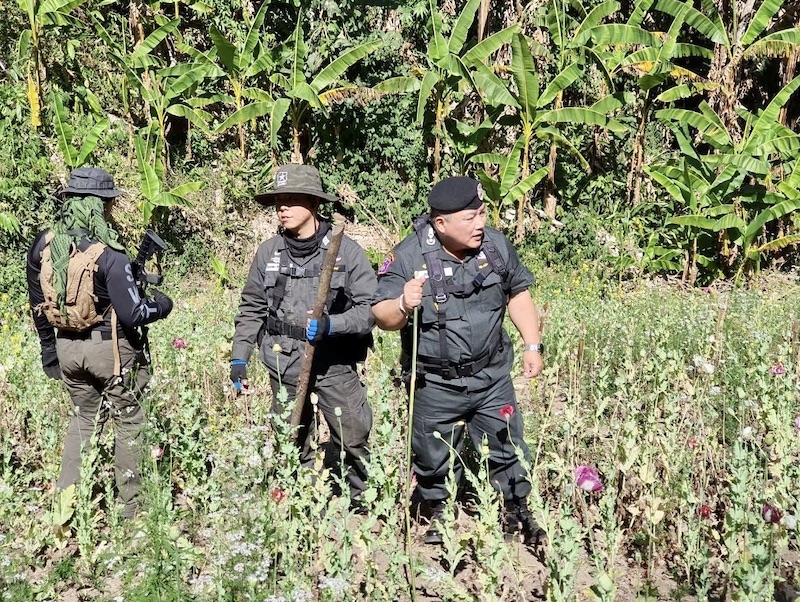 police opium chiang mai