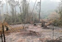 LAOS – SOCIÉTÉ : Le smog frontalier, calamité laotienne Laos pollution de l'air