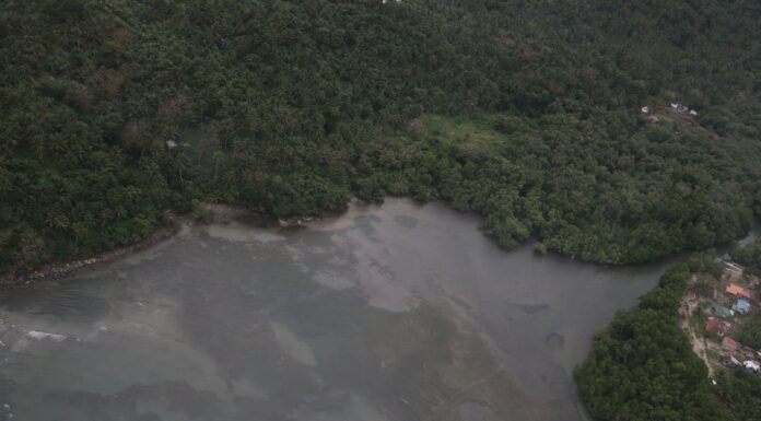 Princess Empress marée noire