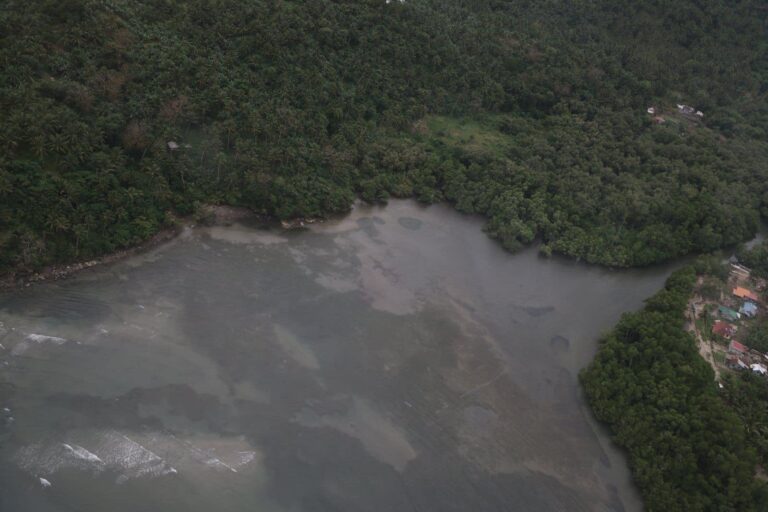 PHILIPPINES – SOCIÉTÉ : Un navire illégal provoque une marée noire “cauchemardesque” aux Philippines