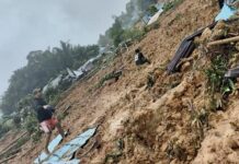 INDONÉSIE – DRAME : Un glissement de terrain en Indonésie fait 15 morts