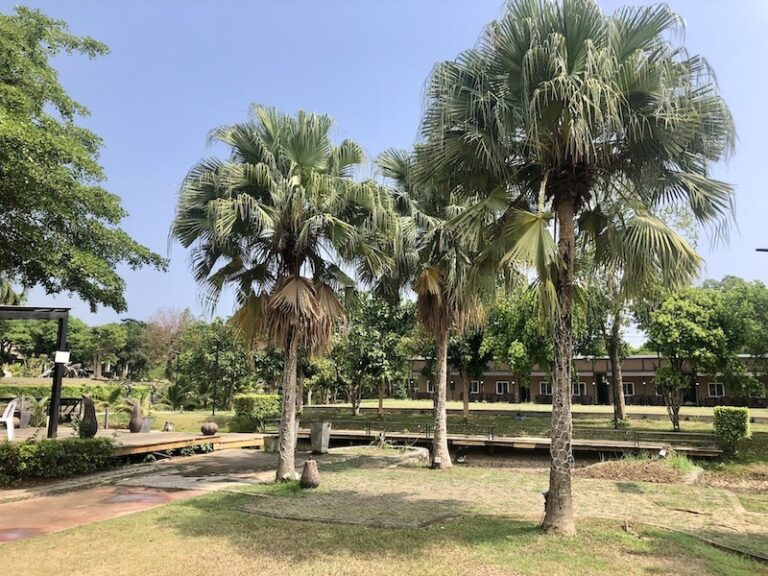 THAÏLANDE – SOCIÉTÉ : Chaleurs records dans le royaume