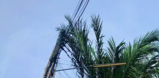 électricité Thaïlande
