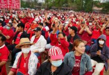 militants Pheu Thai