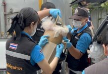 police investigation meurtre Thaïlande