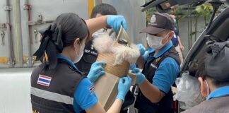 police investigation meurtre Thaïlande